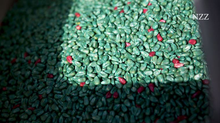 Die Syngenta-Übernahme ist bis heute der grösste chinesische Firmenkauf im Westen – doch die Erfolgsbilanz ist mager
