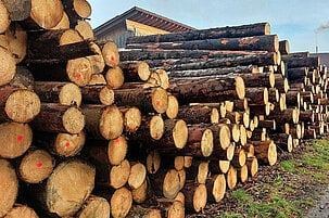 Wald (current) -->