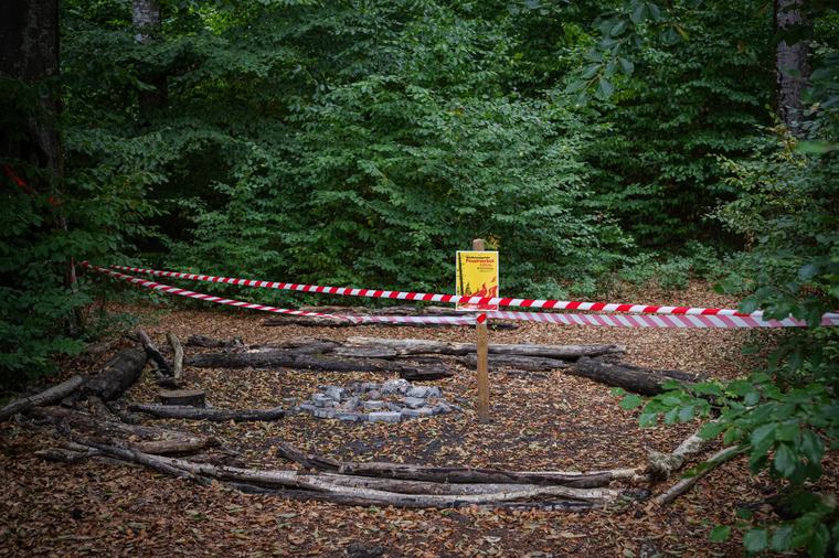Waldbrandgefahr im Kanton Zürich: Feuerverbot im Wald bleibt trotz Regen in Kraft