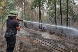 LIVE-TICKER - Hitze in Europa: Klimaforscher warnt vor mehr Extremwetter +++ Hunderte Menschen in Spanien wegen Waldbrand evakuiert