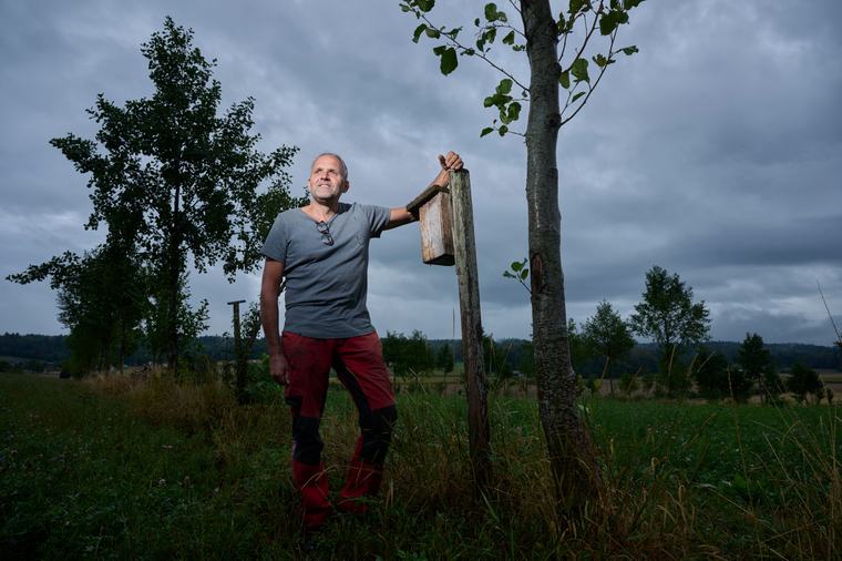 Agroforst während der Hitzewelle: Ist seine Anbauform die Antwort auf den Klimawandel?