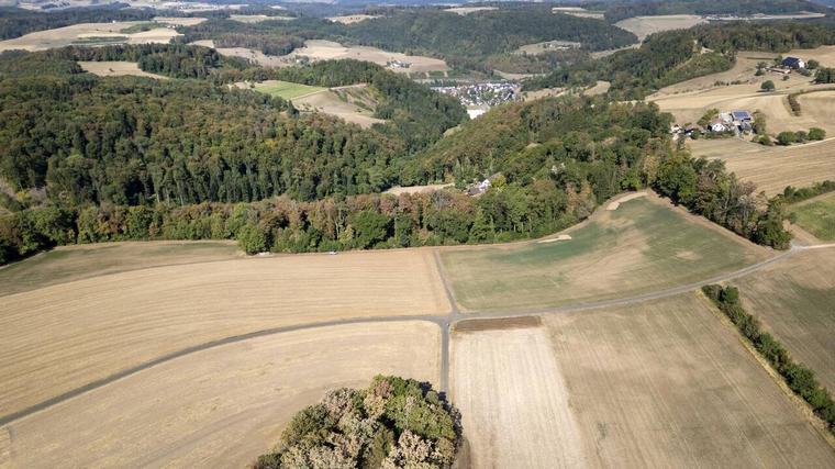 En vidéo – L’agriculture suisse en pleine mutation face au manque d’eau