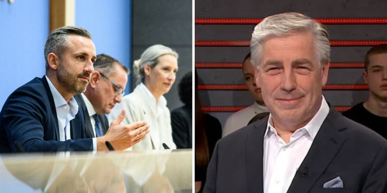 Experte zerreisst Wirtschaftsprogramm der AfD