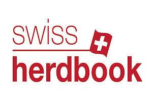 Ausstellungen (current) -->