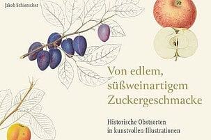 Land & Leute