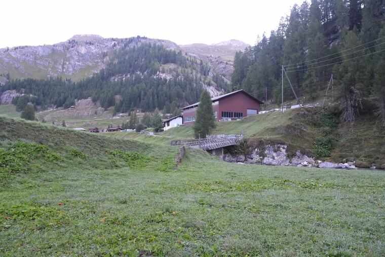 Tödliche Verwechslung in Graubünden: Jäger erschiesst versehentlich Pferd statt Hirsch