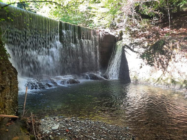 1000 verendete Fische – ein ganzer Abschnitt der Glatt in Herisau ist tot