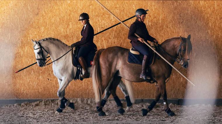 «C’est ludique et technique»: deux Genevoises en route pour les championnats du monde d’équitation de travail