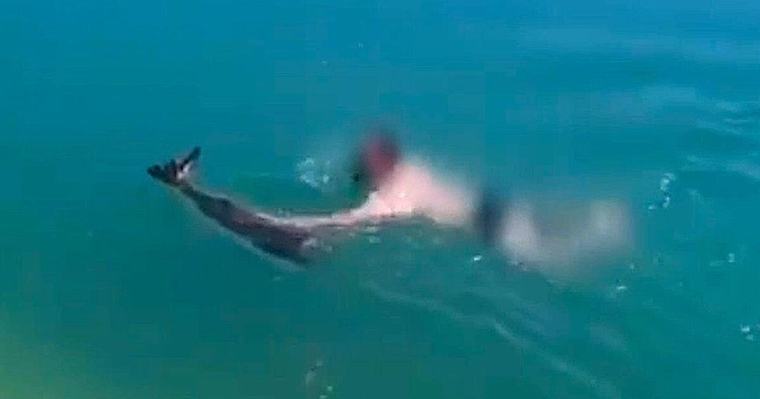 Retter zögert nicht Polizei-Beamter springt für Reh ins Wasser 0:38 Min.